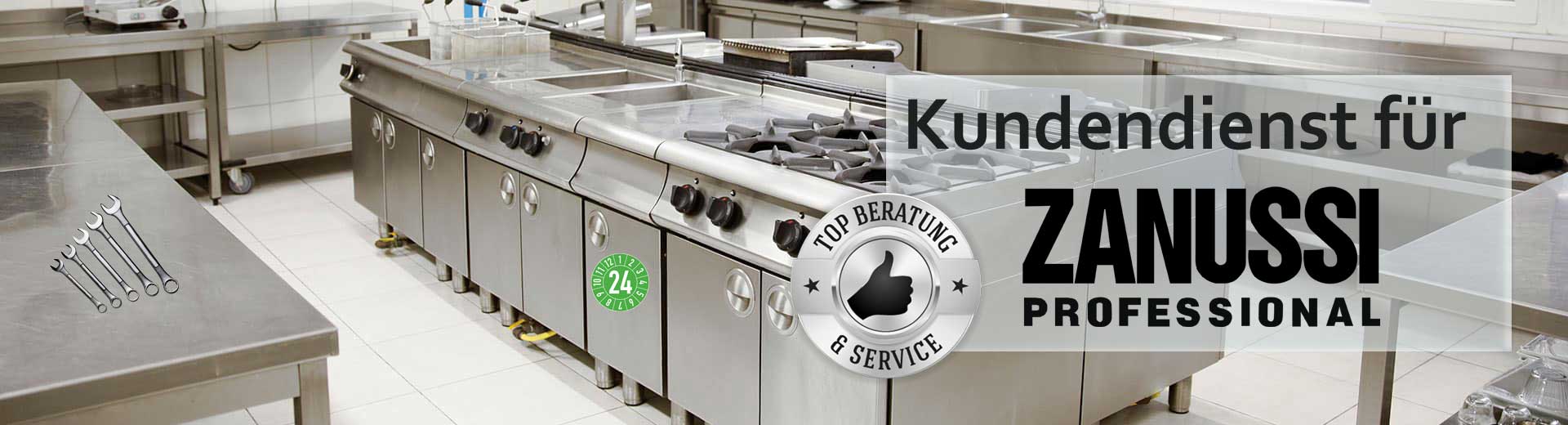 Gastro-Geräte-Reparatur Zanussi Professional